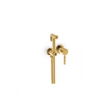 FLUSH MIX TECK  built-in mixer with shower gold brushed 12211-201