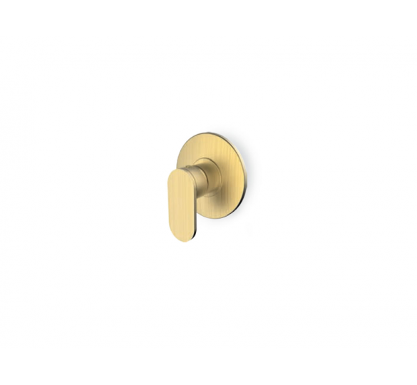 SLIM BRUSHED GOLD mixer 1 of exit  MOUNTED ON THE WALL