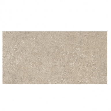 PIERRE STUCK TAUPE 30*60
